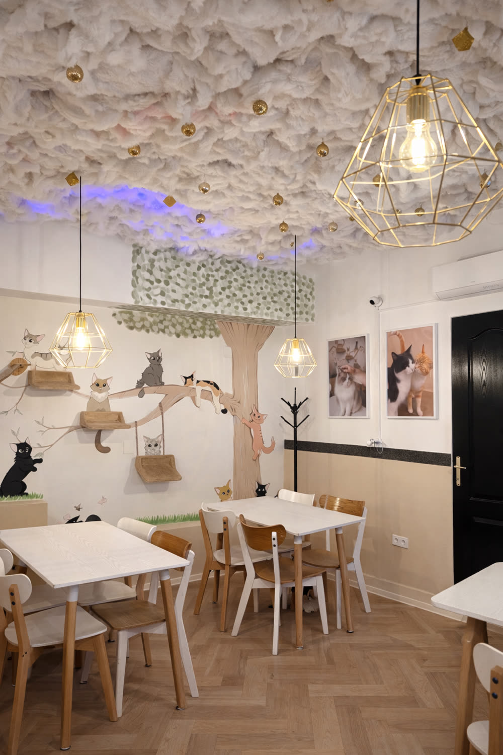 Cicuskám Cat Café belső tere