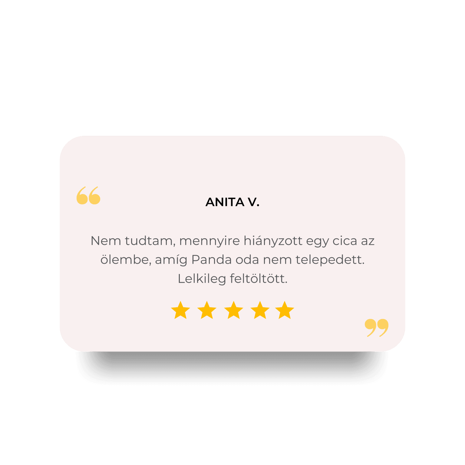 Grey Minimal Customer Review Quote Instagram Post (3)