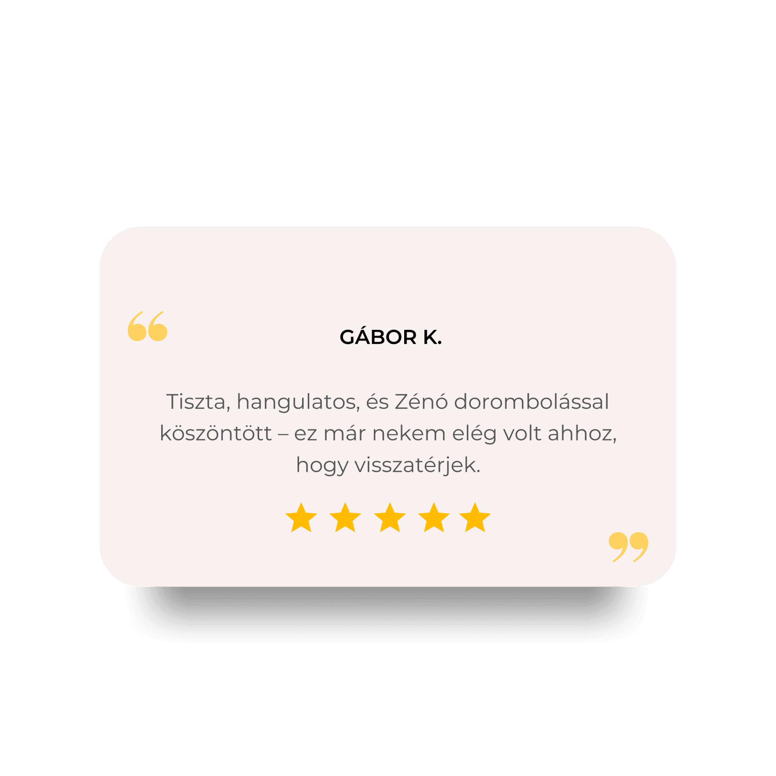 Grey Minimal Customer Review Quote Instagram Post (4)