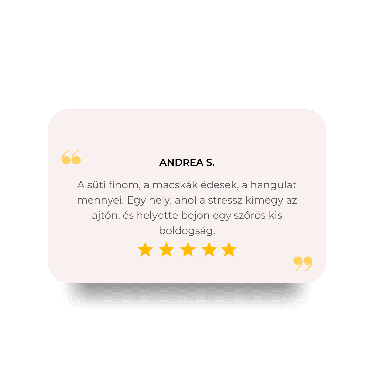 Grey Minimal Customer Review Quote Instagram Post (5)