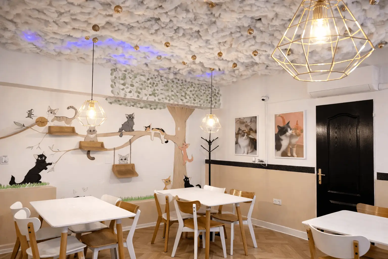 Cicuskám Cat Café
